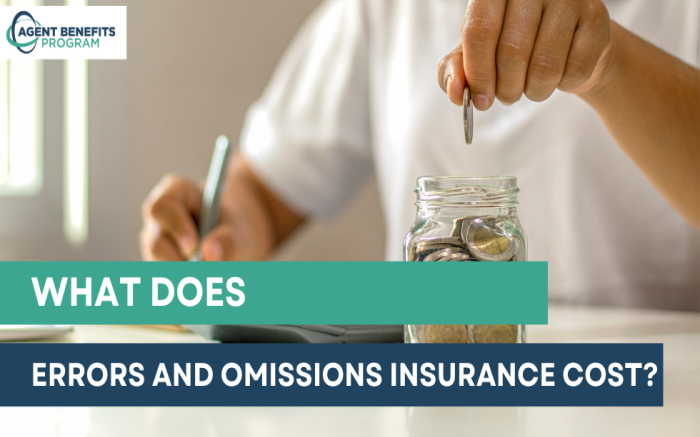 What Does Errors And Omissions Insurance Cost?